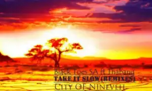 Black Toes SA - Take It slow (feat Thabang) (City Of Nineveh Remix) (Preview)